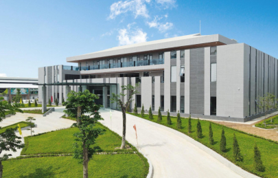 AMY GRUPO: Từ thương hiệu Việt đến thương hiệu toàn cầu