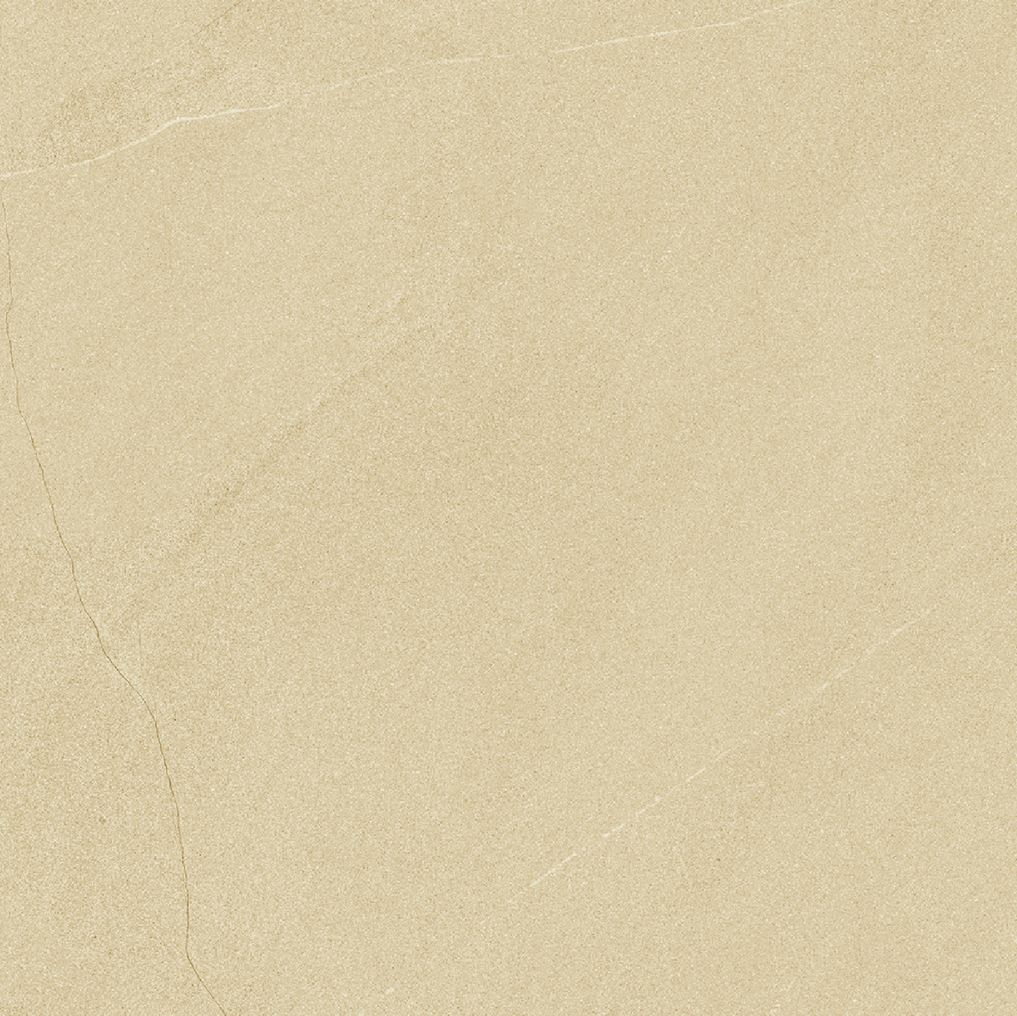 COLUMBO-21.A.660.1675