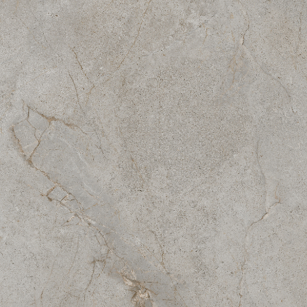 SILVER ROOT-21.B.612.2854