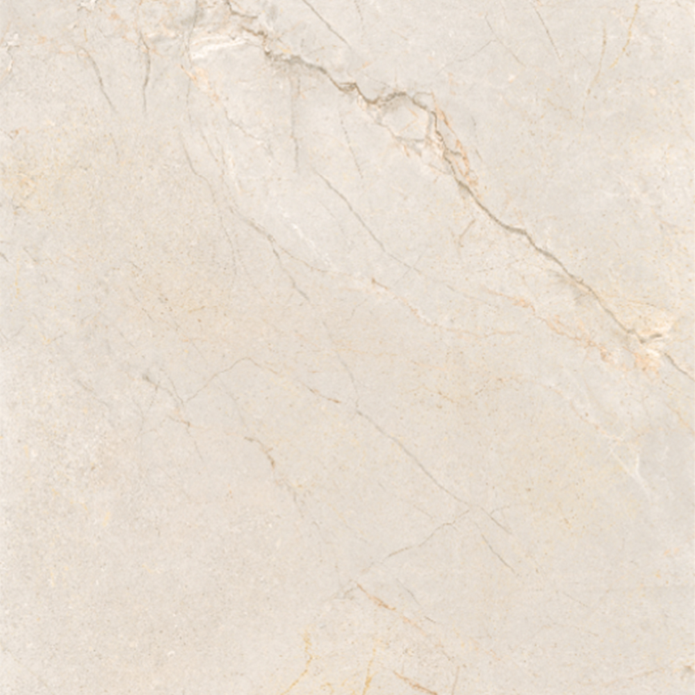 SILVER ROOT-21.B.612.2856