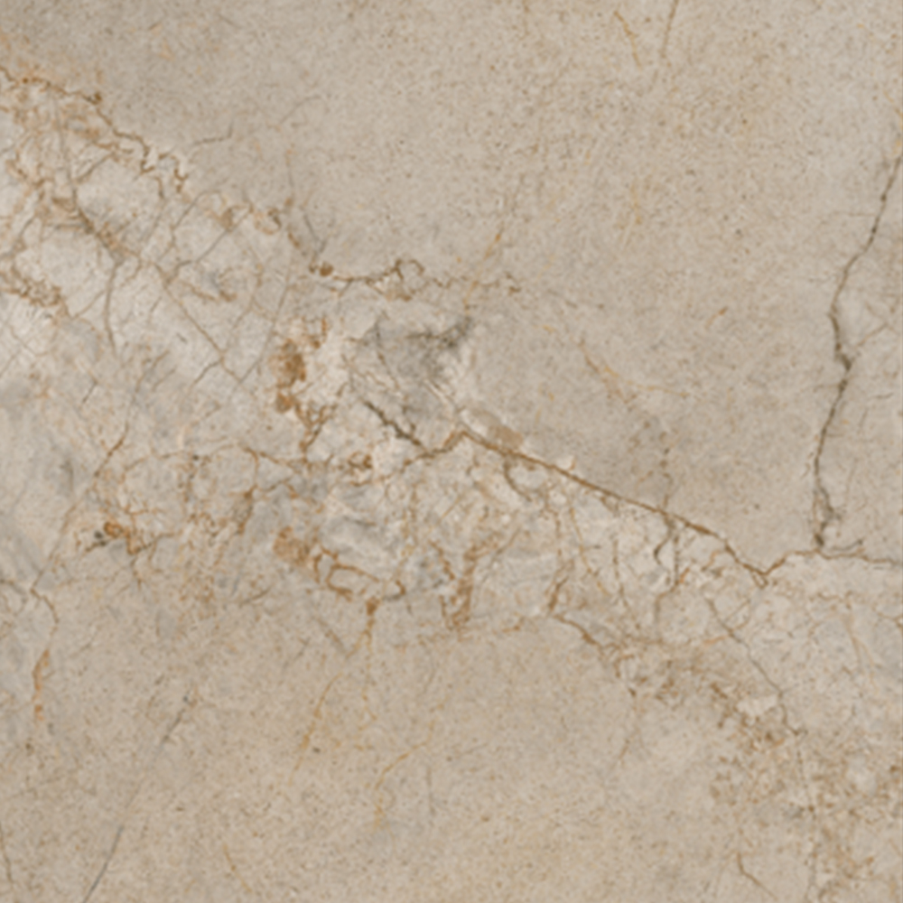 SILVER ROOT-21.B.612.2858